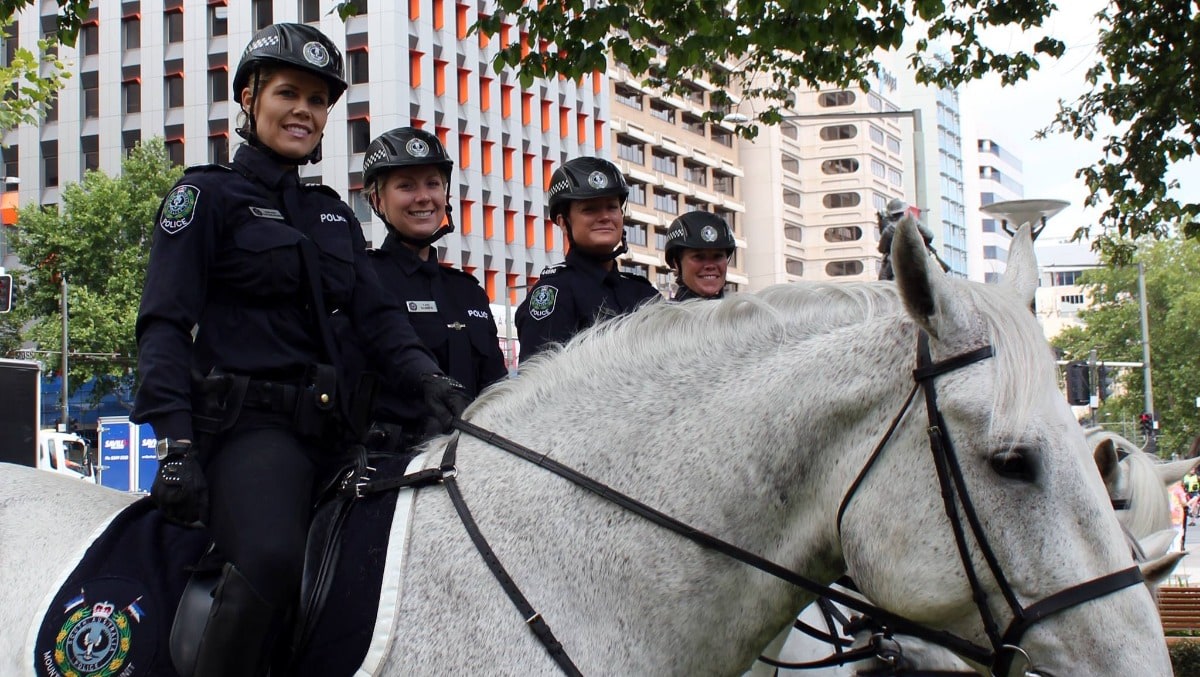 Mounted police unit could move to Adelaide Airport Australian Aviation